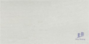 Gạch 298x600 mm Taicera HC600*298-312