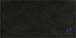 Gạch 298x600 mm Taicera PC600*298-319N