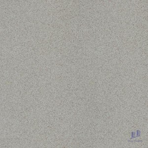 Gạch 30x30 Taicera G38048