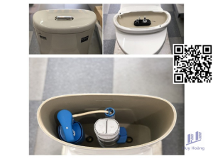 Bộ Xả Bồn Cầu INAX DTF-700V (AC-700VAN, C-702VN)