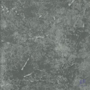 Gạch 30x30 Taicera G38733ND