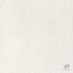 Gạch Taicera 1mx1m – P10702N