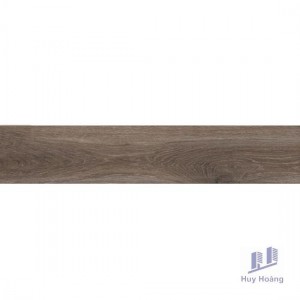 Gạch Vietceramics 23×120 23120BORO