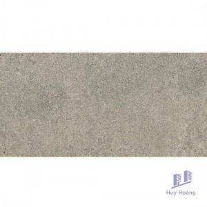 Gạch Vietceramics 30×60 3060SM8K2D