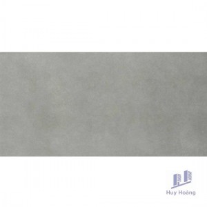 Gạch Vietceramics 30×60 36P005C