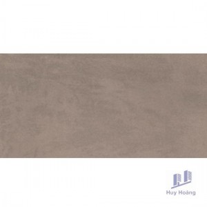 Gạch Vietceramics 30×60 36SR5020C