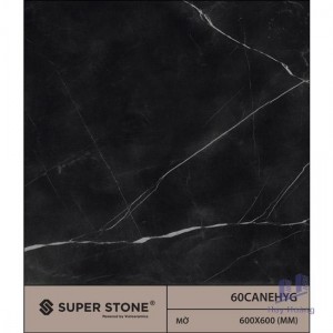 Gạch Vietceramics 60×60 60CANEHYG