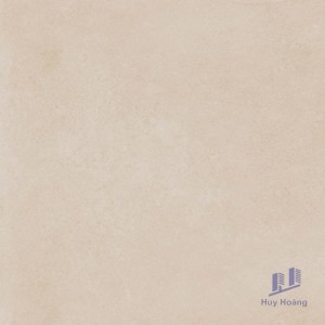 Gạch Vietceramics 60×60 60M66120