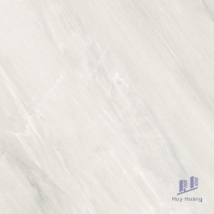 Gạch Vietceramics 60×60 60GS66116