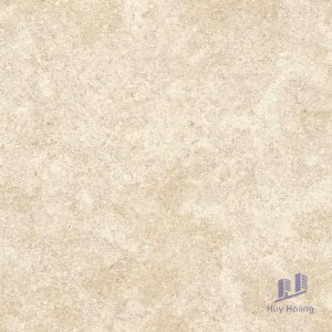 Gạch Vietceramics 60×60 600SM8H6D