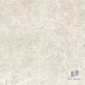 Gạch Vietceramics 60×60 600SM8H5D