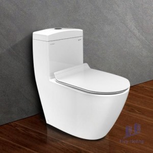 Bồn Cầu Viglacera Platinum P.11.350 Một Khối