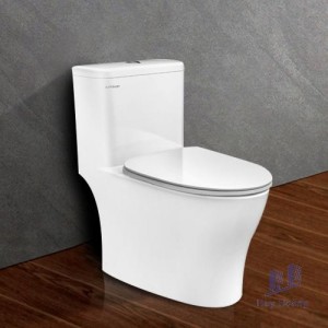 Bồn Cầu Viglacera Platinum P.11.321 Một Khối