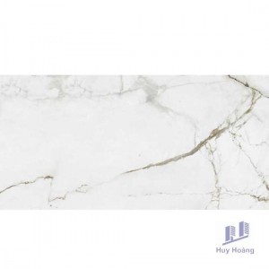 Gạch Vietceramics 60×120 612MHCAIMLP