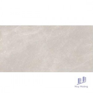 Gạch Vietceramics 60×120 612ARLIGRE