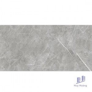 Gạch Vietceramics 60×120 612ARGRE