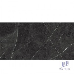 Gạch Vietceramics 60×120 612ESBL