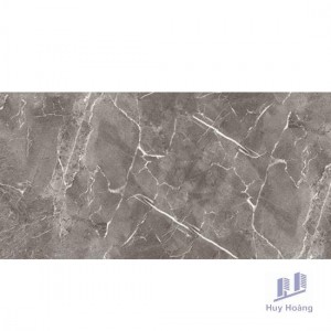 Gạch Vietceramics 60×120 612AMGR