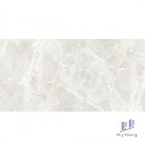 Gạch Vietceramics 60×120 612AMBI
