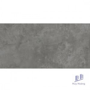 Gạch Vietceramics 60×120 612BEDAGR