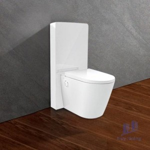 Bồn Cầu Điện Tử Viglacera Platinum P.16.321 Đặt Sàn Kính Trắng