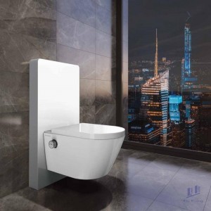 Bồn Cầu Điện Tử Viglacera Platinum P.16.320 Treo Tường Kính Trắng