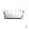bat-sen-mua-cotto-z12-am-tran - ảnh nhỏ  1