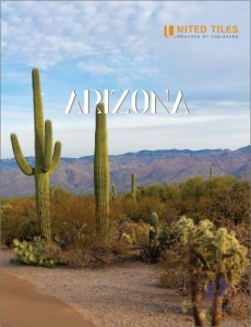 Catalogue Gạch United Tiles Arizona